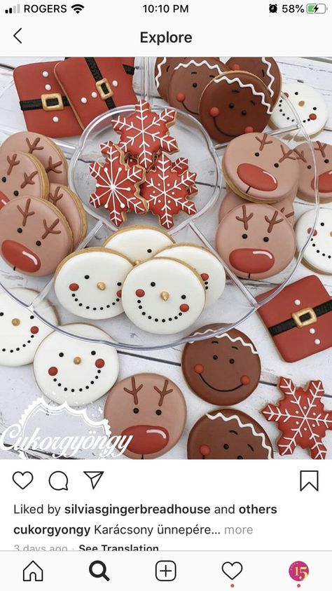 Christmas Royal Icing Cookies Ideas, Circle Christmas Cookies, Easy Decorated Christmas Cookies, Decorated Cookies Royal Icing, Homemade Christmas Cookies, Christmas Sugar Cookies Decorated, Cute Christmas Cookies, Christmas Biscuits, Sugar Cookie Designs