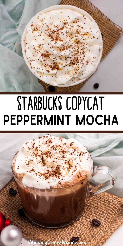 Looking for the perfect festive drink to make this season? Check out this Starbucks Peppermint Mocha recipe. It's easy to follow and will leave you with a delicious, wintery beverage that everyone will love! Starbucks Peppermint Mocha Recipe, Starbucks Drink At Home, Apple Cinnamon Oatmeal Muffins, Mocha At Home, Peppermint Mocha Recipe, Starbucks Peppermint Mocha, Peppermint Syrup, Drink At Home, Mocha Recipe