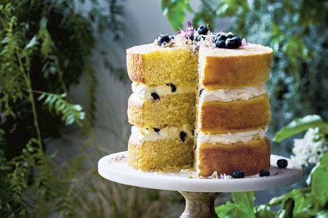 Coconut and blueberry sponge layer cake - Recipes - delicious.com.au Blueberry Sponge Cake, Great Australian Bake Off, Carrot Spice Cake, 40th Cake, Springform Pan Cake, Spiced Carrots, Layer Cake Recipes, Berry Cheesecake, Cakes Recipes