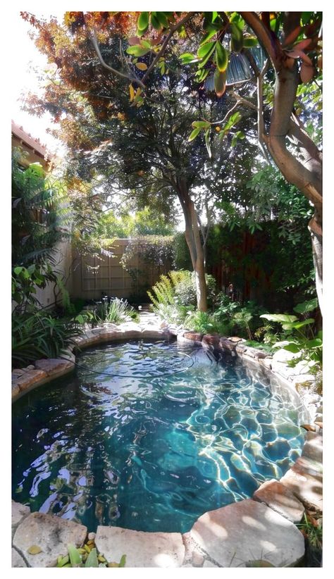 Small Backyard Pool Ideas, Small Backyard Pool, Backyard Pool Design, Pond Pool, Pool Ideas On A Budget, Dream Backyard Pool, Natural Swimming Ponds, Pools Backyard Inground, Diy Swimming Pool