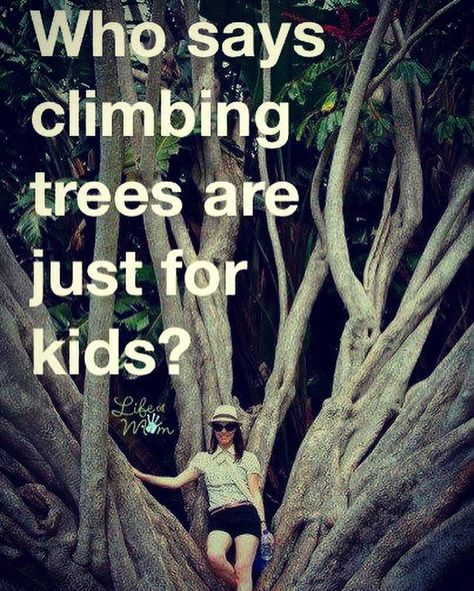 Who says climbing trees is just for kids? motivational quotes, childs play, climb a tree Kids Motivational Quotes, Climbing Quotes, Climb A Tree, Motivational Quotes For Kids, Climbing Trees, Tree Climbing, Childs Play, Julie Andrews, Enjoy Nature