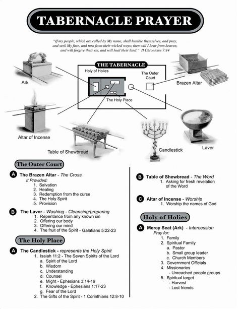 Tabernacle Prayer Bible Infographics, Tabernacle Of Moses, Bible Genealogy, Bible Timeline, Revelation Bible, Bible Study Topics, Bible Study Help, Bible Study Methods, Bible History