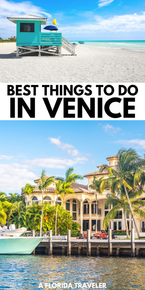 Venice is a quiet destination with incredible beaches to explore. Here are the best things to do in Venice for your next Florida vacation. Things To Do In Venice Florida, Family Tropical Vacation, Utah Beach, Best Beach In Florida, Florida Family Vacation, South Beach Florida, Miami City, Miami Travel, Venice Florida