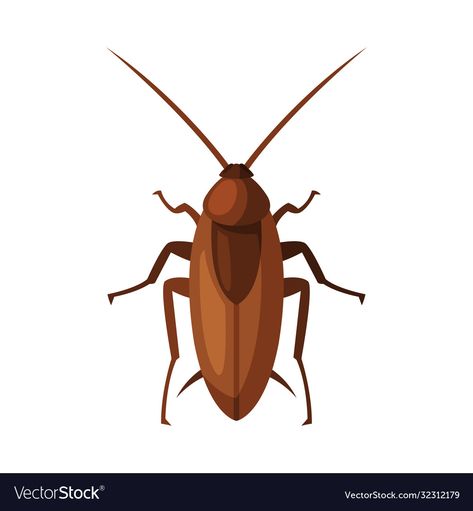 Cockroach Illustration, Bujo Design, List Of Insects, Animals Name List, Omnivorous Animals, Insects Names, Doodle Pictures, Fruit List, Types Of Insects