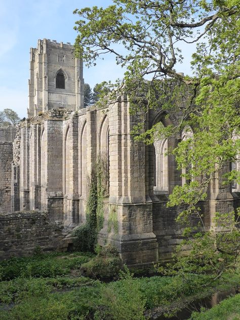 Yorkshire Aesthetic, Fountains Abbey, Royal Park, Yorkshire Uk, Abandoned Castles, Gothic Architecture, Uk Travel, North Yorkshire, World Heritage