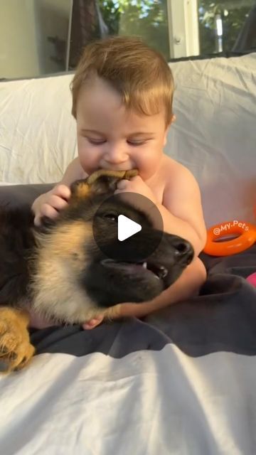 Cute Funny Puppy Videos, Cute Animals Puppies, Animals Friendship, Cute Puppy Videos, Cute Little Puppies, Silly Dogs, Cute Funny Dogs