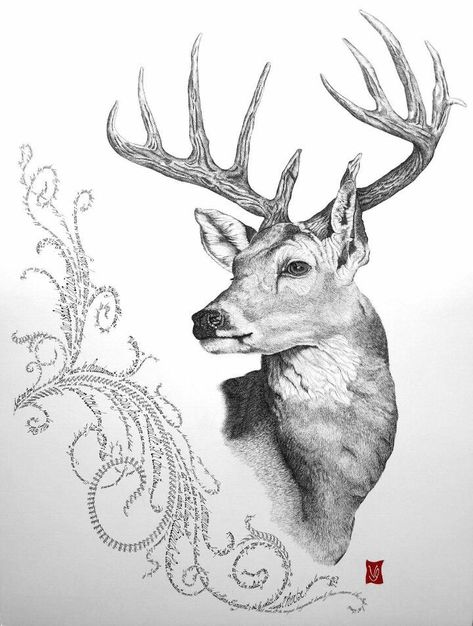 Elk Head Drawing, Whitetail Deer Tattoo, Stag Tattoo Design, Cool Animal Tattoos, Hunting Illustration, Deer Tattoo Designs, Stag Tattoo, Hunting Tattoos, Deer Artwork