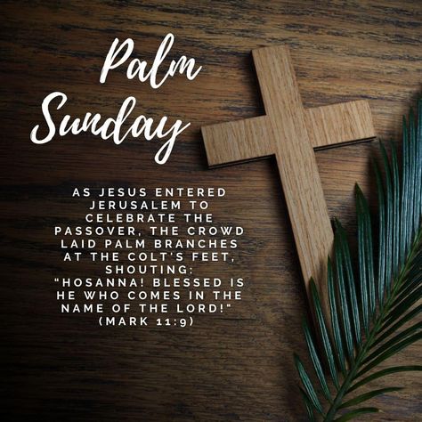 Wishing you all a blessed, God-Filled and Happy Palm Sunday! Happy Palm Sunday, Palm Branch, Kingdom Come, Palm Sunday, John 3, Passover, The Crown, Gods Love, Jesus