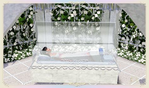 Mod The Sims - Request : Glass Coffin Aesthetic Coffins, Coffin Bed, Glass Coffin, Out Of Nowhere, Samurai Warrior, Electronic Art, Sims House, The Goddess, Great Pictures