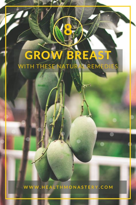 Green mangoes for breast enlargement How To Naturally Grow Breast, How To Grow Your Breast Fast Naturally, Grow Breast Naturally, Foods For Breast Growth, Manifesting Bigger Breast, Grow Breast, Increase Breast Size, Healthy Heart Tips, Attractive Features