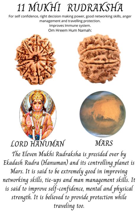 PLANET - MARS DEITY- HANUMAN BENEFITS -self-confidence, right decision-making power, good networking skills, anger management, & traveling protection. Improves Immune system. DESCRIPTION -11 Mukhi is presided over by Ekadash Rudra (Hanuman) & its controlling planet is Mars. It is said to be extremely good in improving networking skills, tie-ups & man management skills. It is said to improve self-confidence, mental & physical strength. It is believed to provide protection while traveling too. Rudra Hanuman, Rudraksha Benefits, Networking Skills, Rudraksha Jewelry, History Infographic, Murugan Wallpapers, Improve Immune System, Improve Self Confidence, Pranic Healing