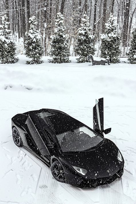 Snow Aventador Luxury Boat, Super Sport Cars, Motor Bikes, Italian Cars, E Type, Latest Cars, Expensive Cars, Sports Cars Luxury, Lamborghini Aventador