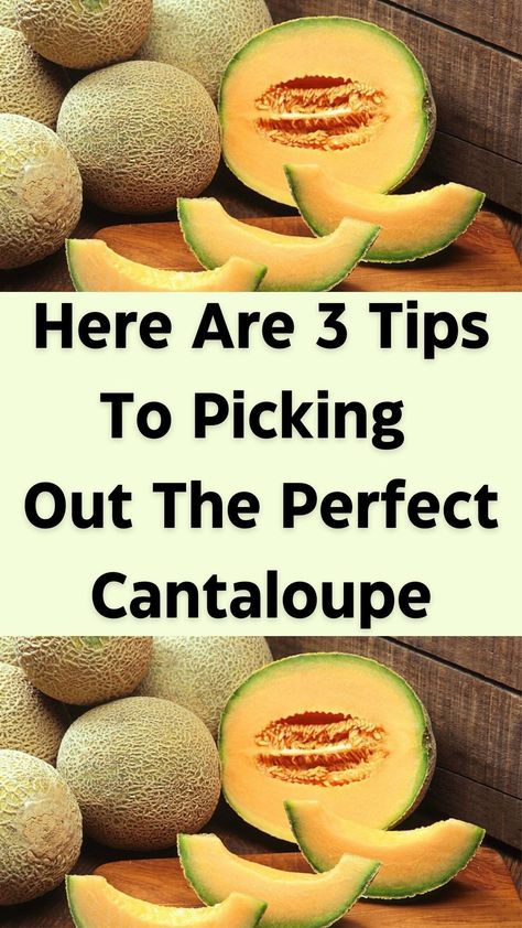 With these tips, you'll pick mouth-watering melons every time.  Do you like eating cantaloupe? As you may know, cantaloupe season is almost upon us as it typically runs from June to September. If you’re not too familiar with the fruit, cantaloupe is a member of the melon family and has a watery and sweet flavor with a somewhat firm flesh. While cantaloupe can be great in a fruit salad if it’s perfectly ripe, it can sometimes be a challenge to pick the perfect cantaloupe if you don’t know How To Pick A Cantaloupe, Cantelope Melon, Planting Cantaloupe, Cantaloupe Recipes, A Fruit, The Fruit, Yummy Food Dessert, Fruit Salad, Mouth Watering