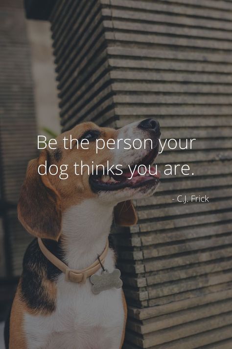 dog quotes | be the person your dog thinks you are | dog quotes love
be the person your dog thinks you are - C. J. Frick
dog quotes love | dog love | dog quote | dog love quotes | dogs quotes | dog quots | dogs quote | dog | quot | dog quoted | dog love quote | dog loves | quotes | dog loving quotes | dogs love quotes | dogs quotes love Dog Captions For Insta, Dog Love Quotes, Dogs Love Quotes, Dog Captions, Dogs Quotes, Your Dog, Puppy Quotes, Loving Quotes, Dog Walking Services