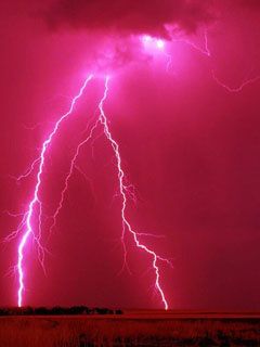 Pink Lightning Lightning Photography, Ciel Rose, Red Lightning, Lightning Strike, Wallpaper Sky, Wild Weather, Lightning Storm, Pink Lady, Lightning Strikes