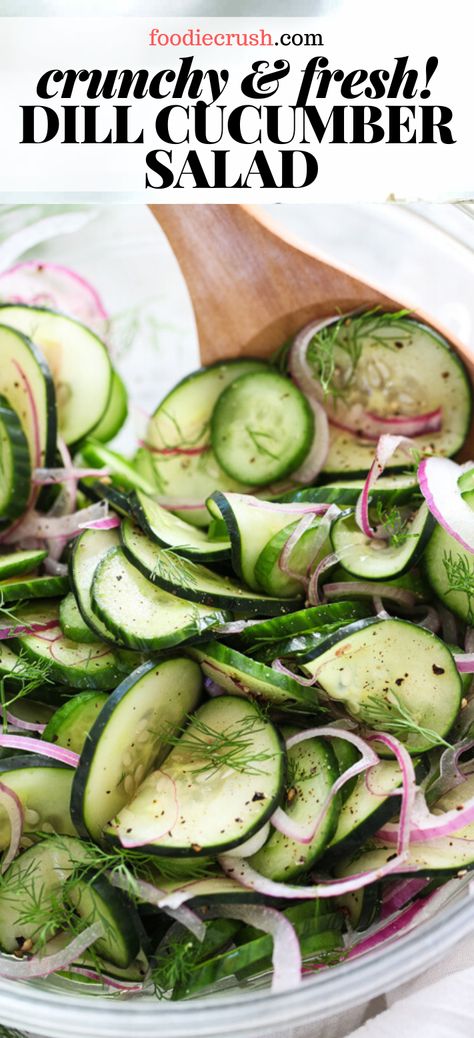 Garden Cucumber Salad, Sliced Cucumber Salad, Cumcuber Onion Vinegar Salad, Cucumber Salad Rice Vinegar, English Cucumber Salad Recipe, Sauteed Cucumber Recipes, White Wine Vinegar Recipes, Cucumber Salad With Vinegar And Sugar, Vinager Cucumber Salad Recipes