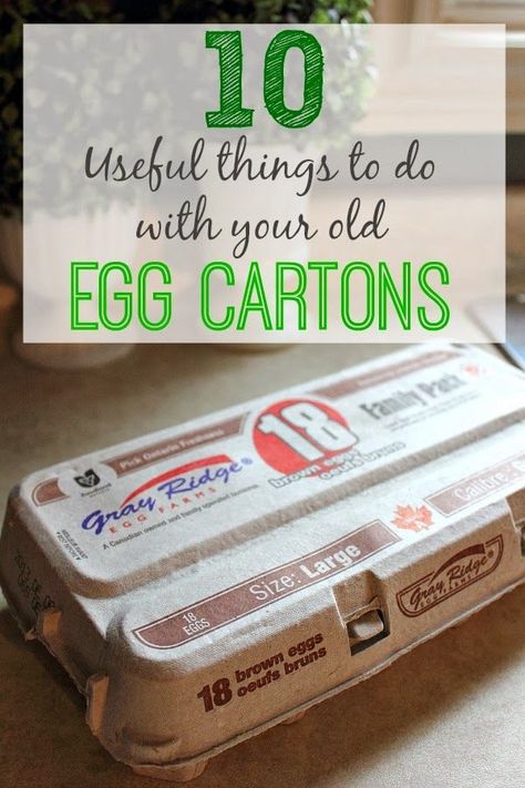 It's amazing just how many ways you can use the humble egg carton! Fun tips! Egg Carton Crafts, Egg Cartons, Useful Things, Repurposed Items, Upcycle Recycle, Egg Carton, Upcycled Crafts, Household Tips, Recycled Crafts