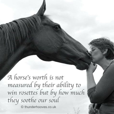 Funny Twilight Quotes, Quotes About Horses, Horse Love Quotes, Getting Older Quotes, Equine Quotes, Inspirational Horse Quotes, Horse Riding Quotes, Equestrian Quotes, Cowboy Quotes