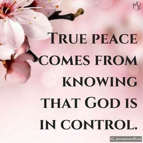 "True peace comes from knowing that God is in control." God Is In Control, Love Anniversary Quotes, About God, Realest Quotes, Bible Quotes Prayer, Bible Prayers, Bible Encouragement, Verse Quotes, Bible Inspiration