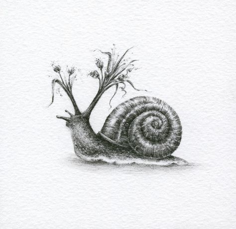 Courtney Brims, Victorian Ghost, Magical Illustration, Snail Tattoo, 3 Paintings, Snail Art, Crystal Drawing, White Ink Tattoo, Animal Sketches