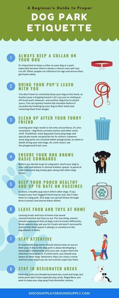 A Beginner's Guide to Proper Dog Park Etiquette infographic  A Beginner's Guide to Proper Dog Park Etiquette infographic Like our Facebook:https://ift.tt/2FAdgt6 #Dog#DogLoversHub Dog Park Design, Kennel Business, Dog Park Etiquette, Dog Park Equipment, Boarding Kennels, Dog Infographic, Dog Bedroom, Play Park, Park Ideas