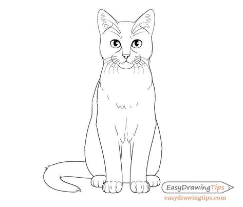 Cat Drawing Sitting, Claws Drawing, Cat Sitting Down, Drawing Sitting, Sitting Drawing, Cat Step By Step, Minimal Drawing, Draw Cat, Cartoon Cat Drawing