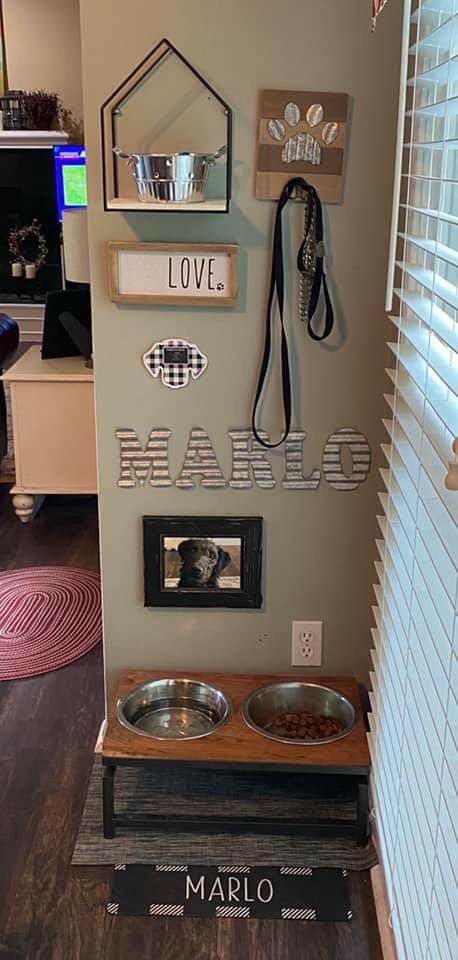 Dog Organizer Ideas, Dog Sunroom Ideas, Dog Room Decor Small Spaces, Corner Dog Food Station, Small Dog Corner Ideas, Dog Home Ideas Indoor, Dog Set Up In Small Apartment, Dog Corner In Kitchen, Puppy Station Ideas