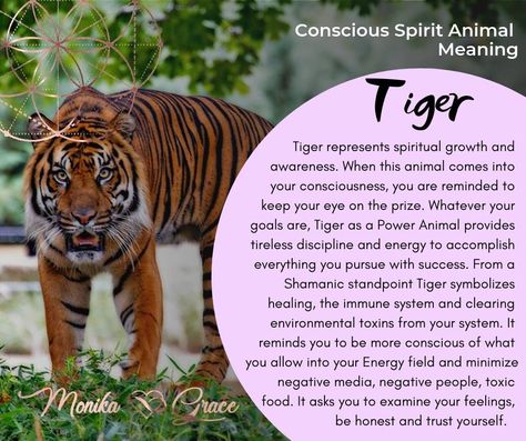 Tiger as a spirit animal belongs to those with fiery brave spirit and strength of will. Whenever this animal comes into your consciousness it encourages you to pay attention to your authentic raw feelings and emotions. The tiger spirit animal symbolizes primal instincts and the ability to trust yourself. It represents physical strength, vitality, and h... See more Intellectual Conversation, Tiger Totem, Spiritual Animals, Cats In Ancient Egypt, Spirit Animal Quiz, Tiger Spirit Animal, What Animal Are You, Spirit Animal Meaning, Tiger Spirit