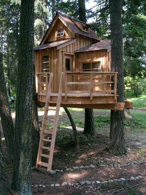 Tree House Ideas, Tree Forts, Backyard Treehouse, Outdoor Forts, Simple Tree House, Luxury Tree Houses, Kids Tree, Garden Lodge, Beautiful Tree Houses