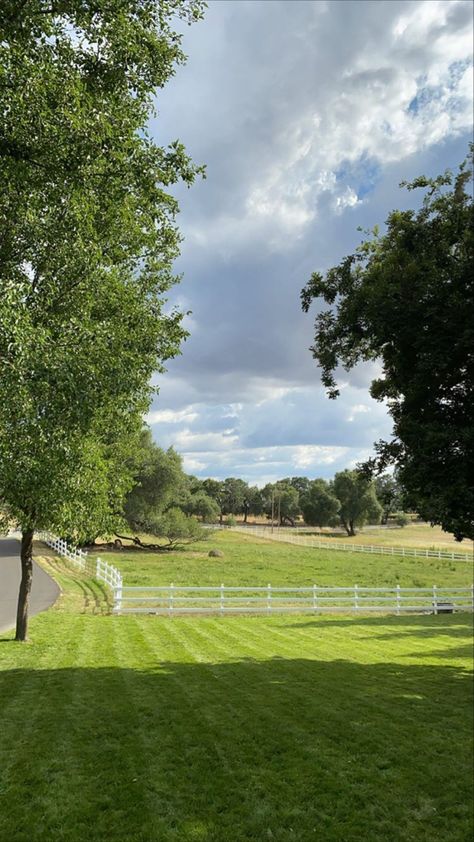 Buying Land Aesthetic, Land Aesthetic, Green Land, Buy Land, Twenty Twenty, Farm Lifestyle, Grand Prairie, Plant Aesthetic, Art Diary