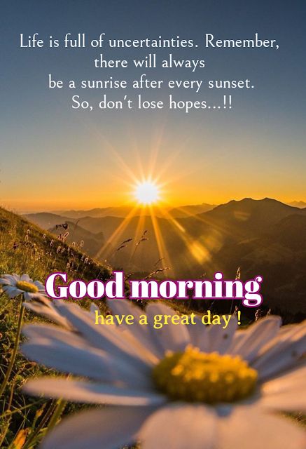 Good Morning Thoughts, Good Morning Sun, Good Morning Msg, Morning Msg, Positive Good Morning Quotes, Good Morning Spiritual Quotes, Good Morning Sunshine Quotes, Happy Morning Quotes, Good Morning Flowers Quotes