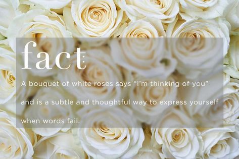 White Roses Meaning, Rose Meanings, Roses Meaning, Rose Poems, Rose Color Meanings, Lux Gifts, Rose Meaning, Thinking Of You Quotes, Rose Quotes