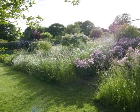 Acres Wild Garden Design, Wild Meadow Garden, Field Garden Ideas, New England Wildflower Garden, Meadow Garden Design, Wild Flowers Garden Ideas, Wild Flower Meadow Garden, Wild Cottage Garden, Meadow Garden Landscaping