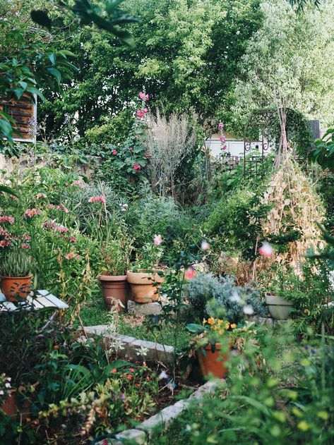 Small Garden Allotment Ideas, Permaculture Cottage Garden, Backyard Forest Garden, Diy English Garden, English Kitchen Garden, Wild Cottage Garden, Australian Cottage Garden, Australian Native Cottage Garden, Cottage Vegetable Garden