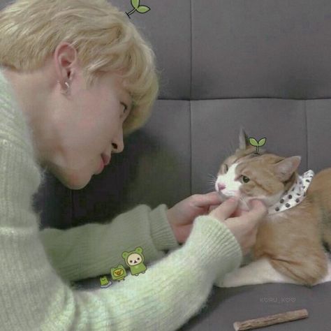 Jimin Icons, Calico Cat, Park Jimin Bts, Fan Fiction, Jimin Jungkook, Doja Cat, Bts Face, Album Bts, Busan