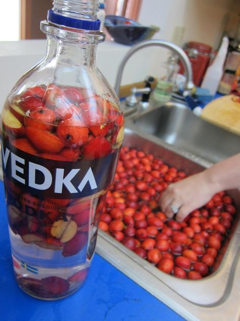 Crabapple Recipes, Husky Mix Puppies, Pickles Homemade Easy, Crab Apple Recipes, Svedka Vodka, Alcohol Infusion, Apple Vodka, Cargo Plane, Food Preserving