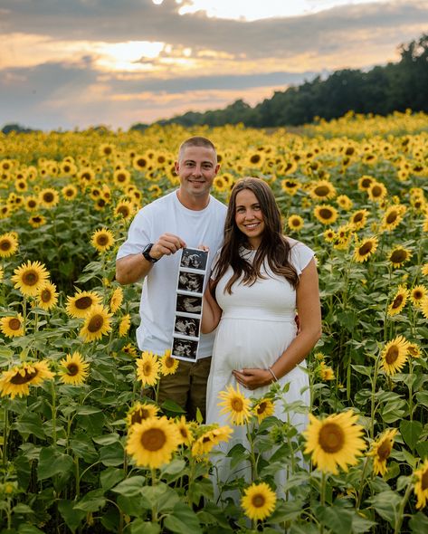 A blossoming belly in a sea full of sunflowers for the Reinstadtler’s maternity session 💛🌻 #BumpInBloom #PittsburghPhotographer #sunflower #EriePhotographer Sunflower Photo Ideas, Sunflower Maternity Pictures, Sunflower Maternity Shoot, Sunflower Pregnancy Announcement, Sunflower Pregnancy Photoshoot, Sunflower Field Maternity Photos, Sunflower Pregnancy Photos, Maternity Photography With Sunflowers, Sunflower Field Pregnancy Announcement