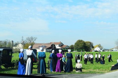 Guide to Amish Wedding Traditions in Lancaster - Amish Farm and House Mennonite Wedding, Amish Wedding, Wedding Dress Blue, Amish Living, Amish Culture, Amish Life, Amish Farm, Wedding Dresses Images, Amish Community