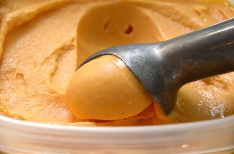 Sherbet Recipes, Cuisinart Ice Cream, Apricot Recipes, Orange Blossoms, Sorbet Recipes, Ice Cream Desserts, Ice Cream Maker, Fruit Flavored, Frozen Desserts