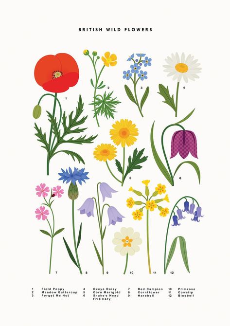 Botanical flowers print