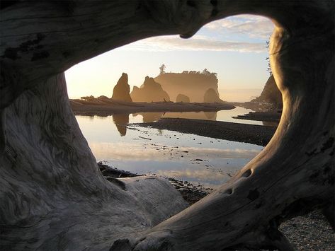 Ruby Beach Washington, Washington Beaches, Washington State Travel, Usa Beaches, Evergreen State, Ocean Shores, Oregon Washington, Labor Day Weekend, Olympic National Park