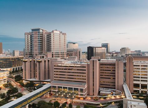 Health & Wellness Md Anderson Houston, Human Cells, Md Anderson, Cord Blood Banking, New Hospital, Best Hospitals, Patient Experience, Stem Cells, Health Wellness