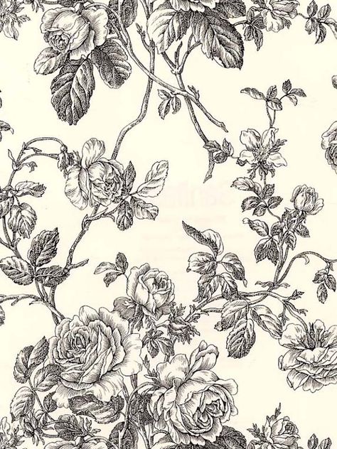 Wallpaper In Home, Vine Wallpaper, Black And White Gif, Black Toile, Wallpaper Black And White, Washable Wallpaper, Toile Wallpaper, Floral Toile, Scenic Wallpaper