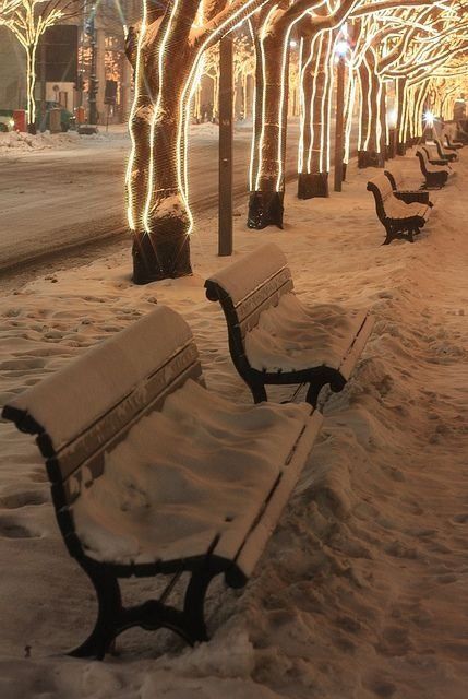 59 Christmas Scenes around the World ... Park Benches, Dark Christmas, Ulsan, Christmas Wonderland, Winter Scenery, Christmas Scenes, Winter Pictures, Winter Wonder, Christmas Mood