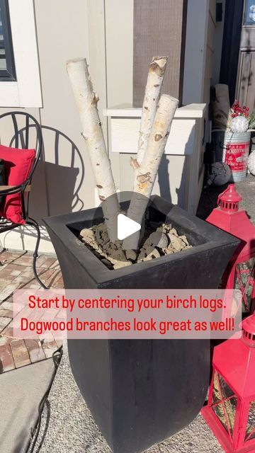 Birch Log Planter Ideas, Xmas Arrangements Outdoor Planters, Outdoor Porch Pots For Christmas, Birch Planter Ideas, Christmas Outside Planter Ideas, Christmas Brick Mailbox Ideas, Christmas Plants Outdoor, Christmas Planter Ideas Outdoor, Outdoor Christmas Planters Diy