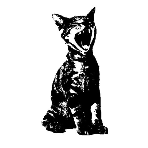 Stencil For Clothes, Cat Stencil Tattoo, Deftones Stencil, Graphic Poster Black And White, Black And White Aesthetic Posters, Deftones Icons, Cat Drawing Black And White, Camera Graphic Design, Cat Tattoo Black