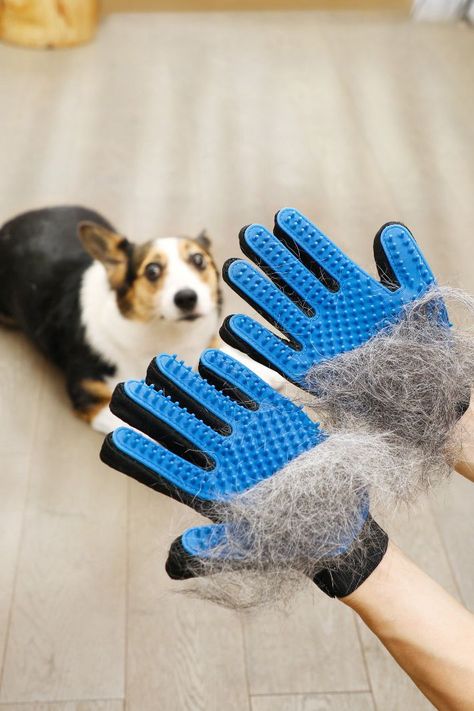 Pet Grooming Products, Dog Hair Removal, Hair Remover Tool, Dog Grooming Tools, Hair Of The Dog, Cat Grooming Tools, Dog Washing Station, Pet Grooming Tools, Cat Small