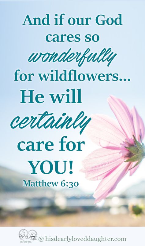 And if God cares so wonderfully for wildflowers... He will certainly care for YOU! Matthew 6:30 #hisdearlyloveddaughter #bibleverse #scripture #wordofgod #biblestudy Verses About Flowers, Matthew 6 30, Spring Scripture, Matthew Scriptures, Worry Bible Verses, Worrying About The Future, Bible Verse Background, First Response, Healing Scriptures