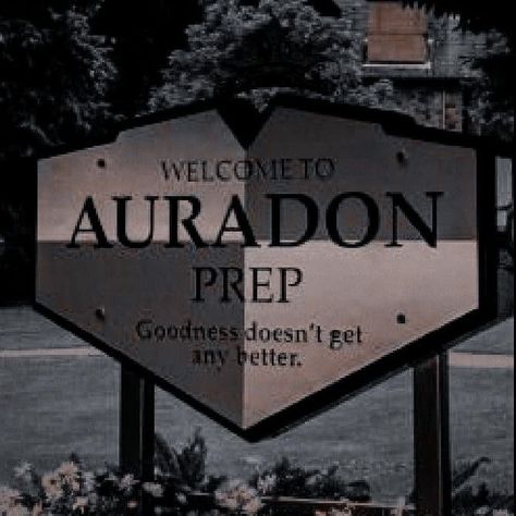 Auradon Prep, Descendants Pictures, Mal Descendants, Harry Hook, Rotten To The Core, Isle Of The Lost, Cartoon Books, Disney Descendants, Aesthetic People