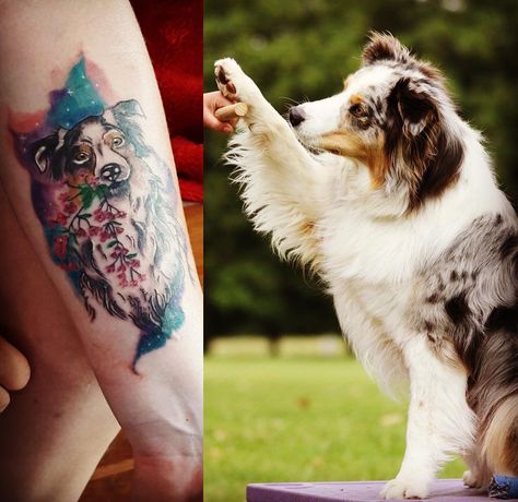 15 Australian Shepherd Tattoo Ideas 8 Australian Shepherd Tattoo, Shepherd Tattoo, Bright Tattoos, Unusual Tattoo, Shepherd Dog Breeds, Weekend Ideas, Horse Names, Australian Shepherd Dogs, Memorial Tattoos